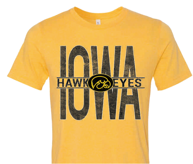 Iowa Hawkeyes December 2017 - BULLS EYE