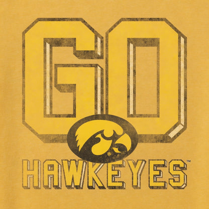 IOWA Hawkeyes - OCTOBER 2017