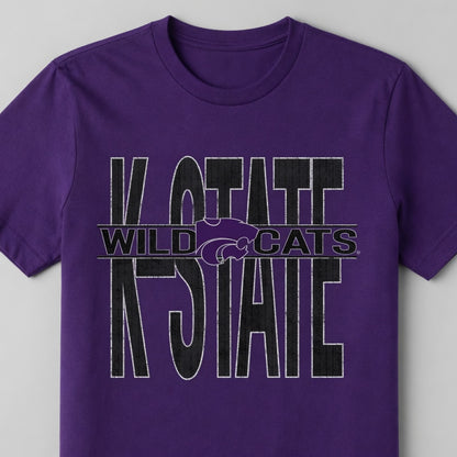 K-State Wildcats December 2017