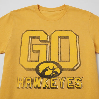 IOWA Hawkeyes - OCTOBER 2017