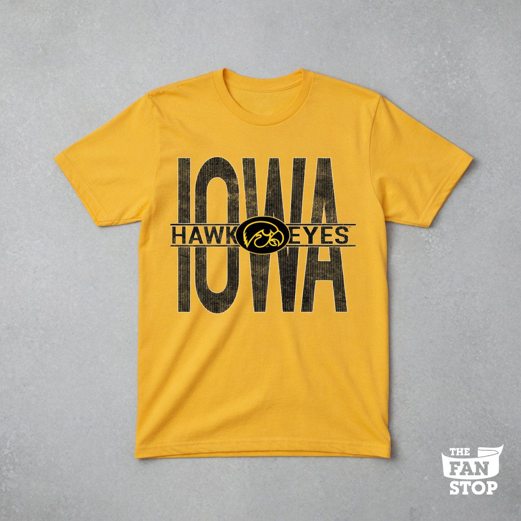 Iowa Hawkeyes December 2017 -  BULLS EYE