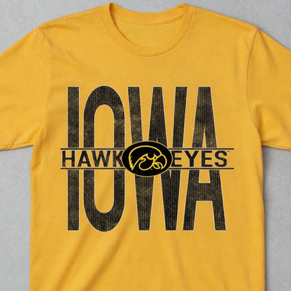 Iowa Hawkeyes December 2017 -  BULLS EYE
