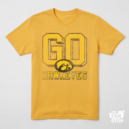IOWA Hawkeyes - OCTOBER 2017
