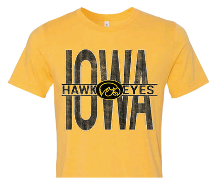 Iowa Hawkeyes December 2017 -  BULLS EYE