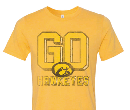IOWA Hawkeyes - OCTOBER 2017